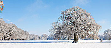 强强对话！豪门球队大比分胜出