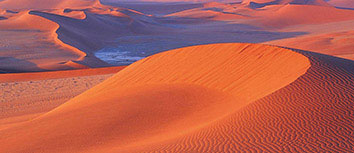 澳大利亚女足表现抢眼澳大利亚球队出色表现获赞！